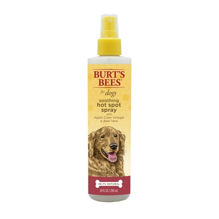 Burt’s Bee Soothing Hot Spot Spray for Dogs, 10 (Best Cure For Dog Hot Spots)