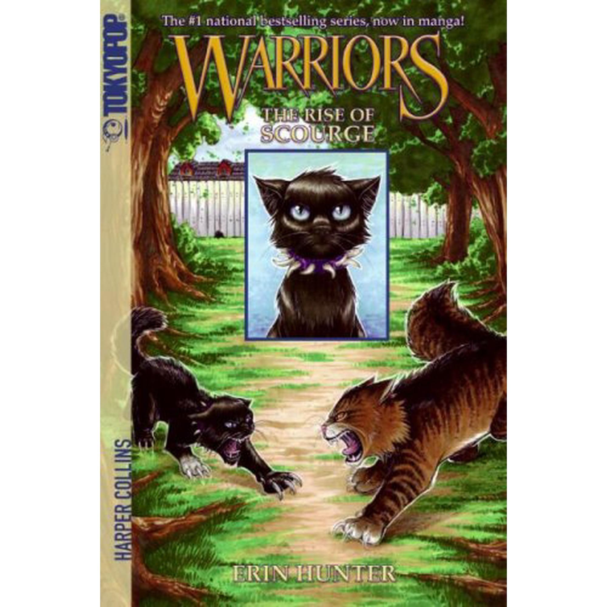 Warrior Cats Scourge Pictures