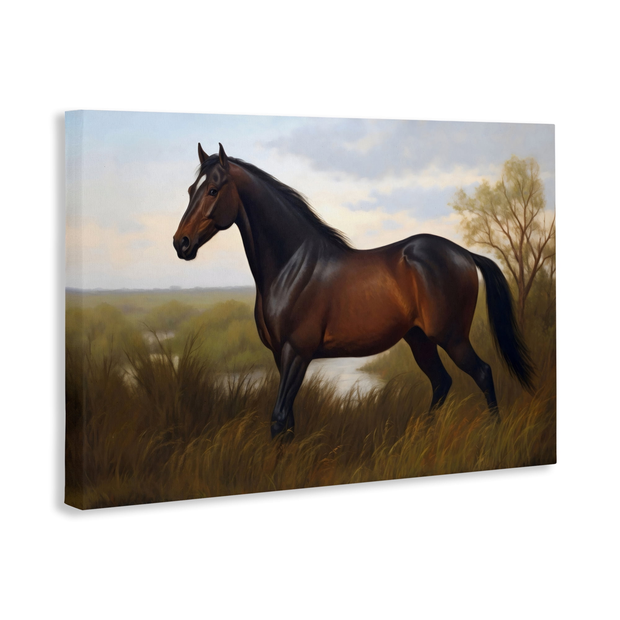Stupell Industries Stallion in Marshland Canvas Wall Art, design by Creative Studio