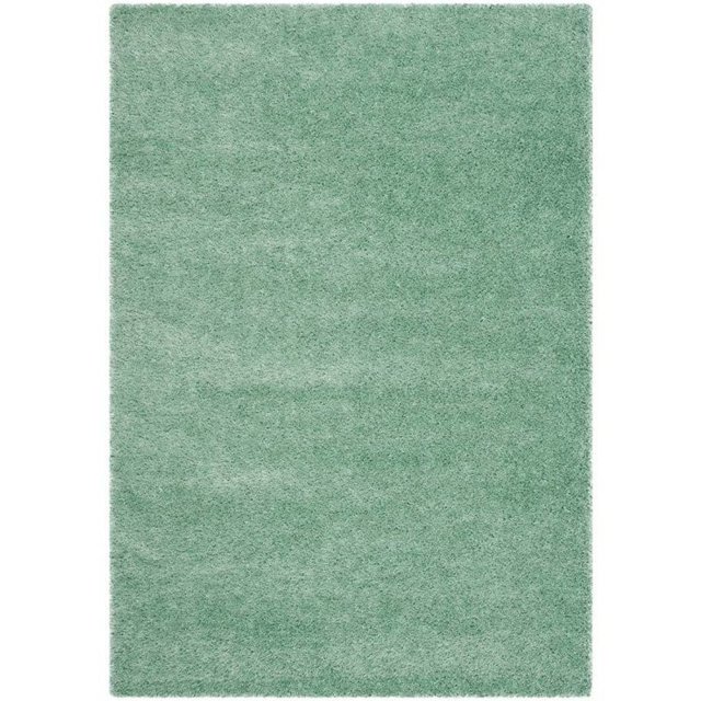Safavieh Charlotte Shag Teal Shag Rug - 4' x 6'