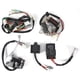 thumbnail image 2 of Kit de cableado de aluminio con interruptor CDI y bobina de palanca de freno para moto de cross Yamaha PW50., 2 of 12