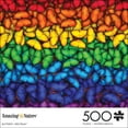 thumbnail image 1 of Buffalo Games - Amazing Nature - Butterfly Spectrum - 500 Piece Jigsaw Puzzle, 1 of 5