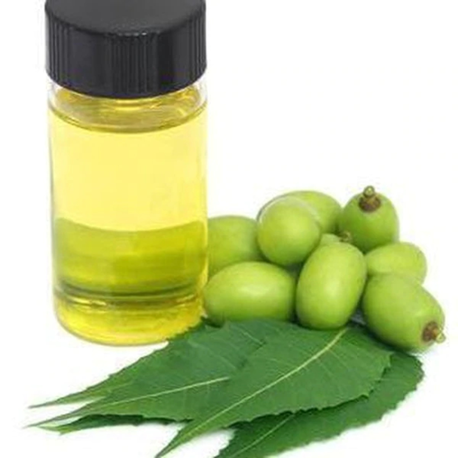 Virgin Neem Oil Organic 1oz Pouch