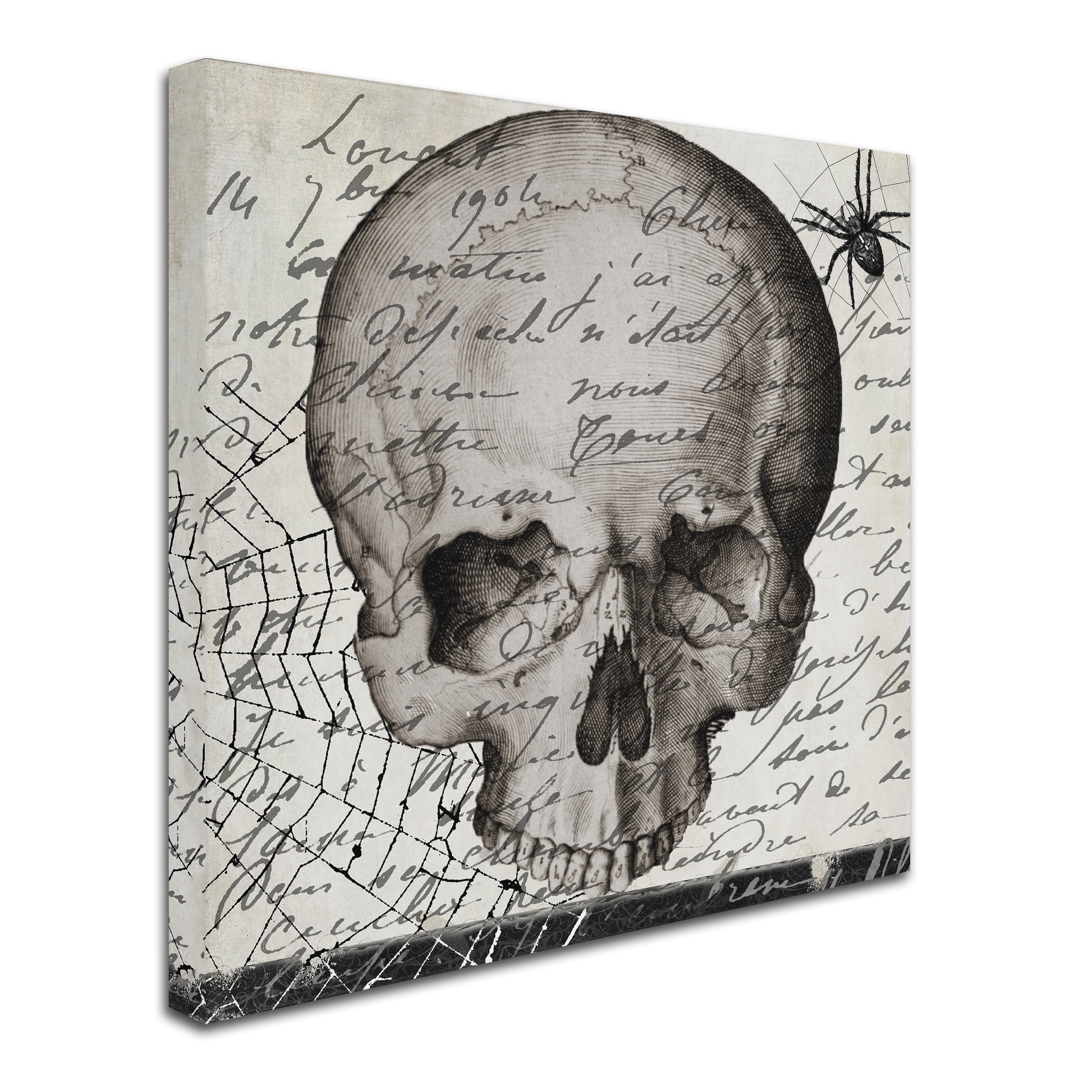 Trademark Fine Art "Halloween Skull" Canvas Art by Color Bakery