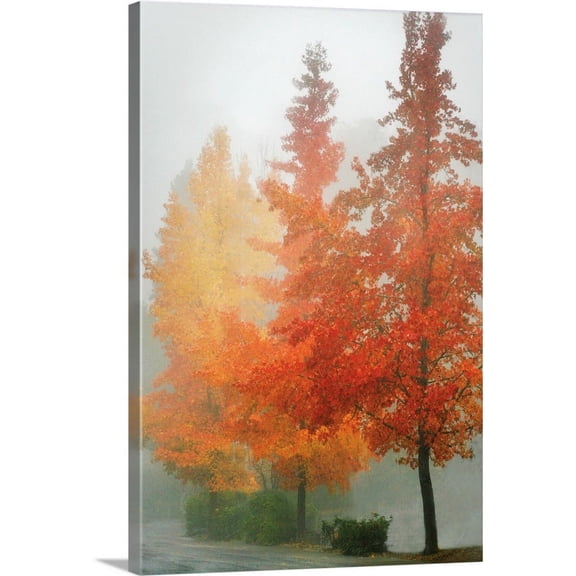 Great BIG Canvas | "Colors in the Mist I" Canvas Wall Art - 24x36