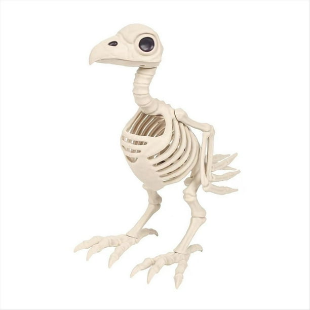 Decoraciones de Halloween de Pájaro Esqueleto - Esqueletos de Animales Articulados Posibles Esqueletos con Articulaciones Articuladas Decoración de Halloween