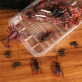 thumbnail image 4 of Shisuyan Toyvian 169PCS Halloween Realistic Insects Educational Simulated Animals Model Toy Assorted Fake Imitation Worm Insect for Halloween Prank Props, 4 of 8