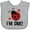 AC-Heather Grey, variant on Inktastic 1st Birthday Ladybug 1 Year Old Girls Baby Bib