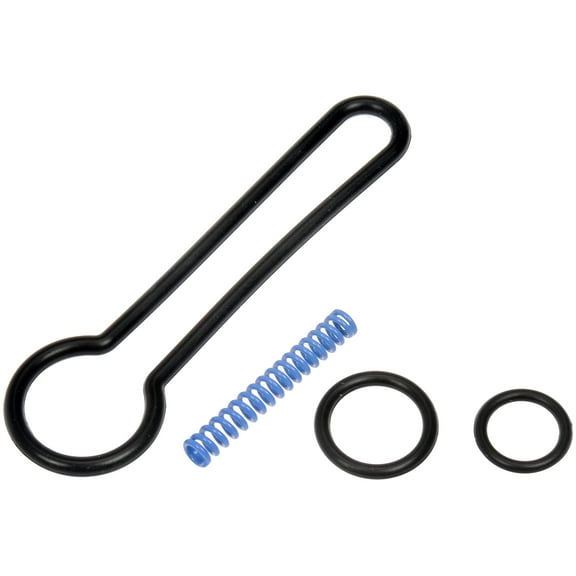 Dorman Oe Solutions Fuel Pressure Reg. Service Kit Fits select: 2003-2007 FORD F250, 2003-2007 FORD F350