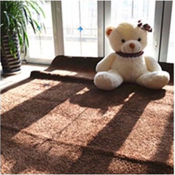 LELINTA Rugs 32x47'' Rectangle Oblong Shape Bedroom Fluffy Rugs Anti-Skid Shaggy Area Home Decration Office Sitting Drawing Room Gateway Door Carpet Play Mat