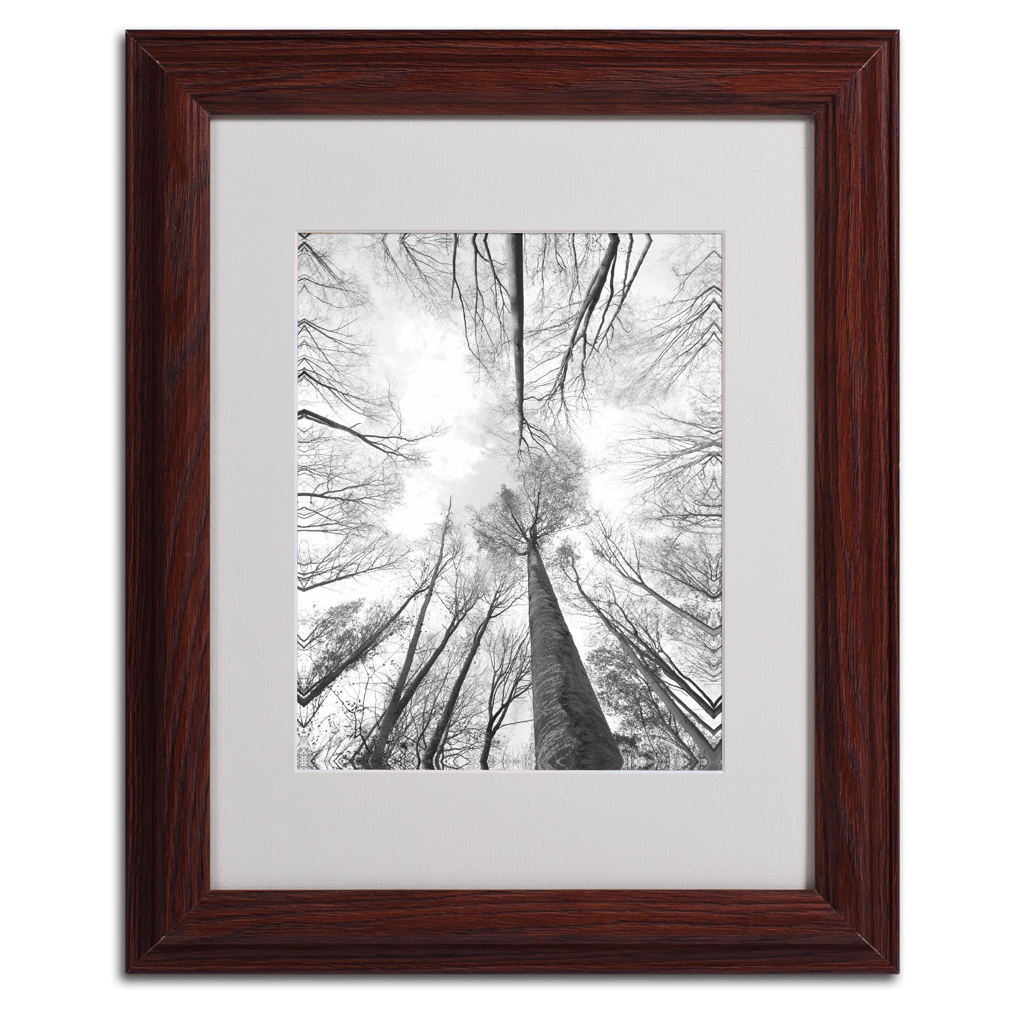 Trademark Fine Art "Recall the Days" Canvas Art by Philippe Sainte-Laudy, Black Frame