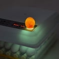 thumbnail image 2 of Incubadora Automatica 36 Huevos Aves Gutstark Home Pollos + Ovoscopio, 2 of 7