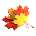thumbnail image 2 of Maple Leaves Autumn Color Wall Mural by Wallmonkeys Peel and Stick Graphic (36 in W x 29 in H) WM263837, 2 of 4