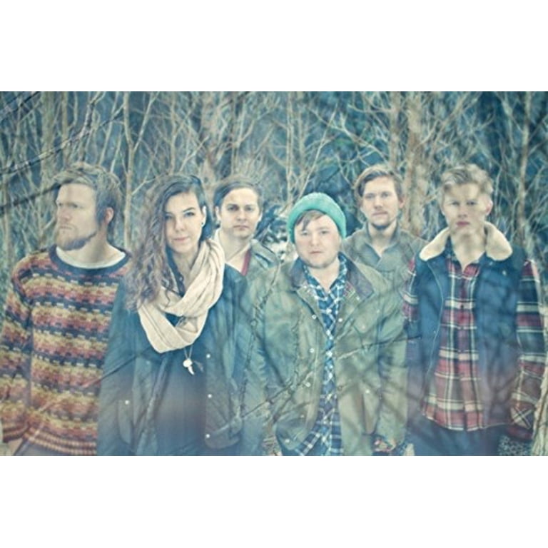 Republic Records, Music & Performance, Vinyl LP, Of Monsters and Men, My  Head Is An Animal - Walmart.com