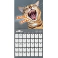 thumbnail image 2 of Trends International 2024 Snarcatstic Wall Calendar, 2 of 7