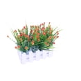 thumbnail image 2 of Valla de madera con simulación de flores, adornos para decoración del hogar y la sala de estar, planta de simulación, maceta verde falsa., 2 of 6
