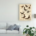 thumbnail image 3 of Trademark Fine Art 'Avian Habitat VI' Canvas Art by Milne, 3 of 4