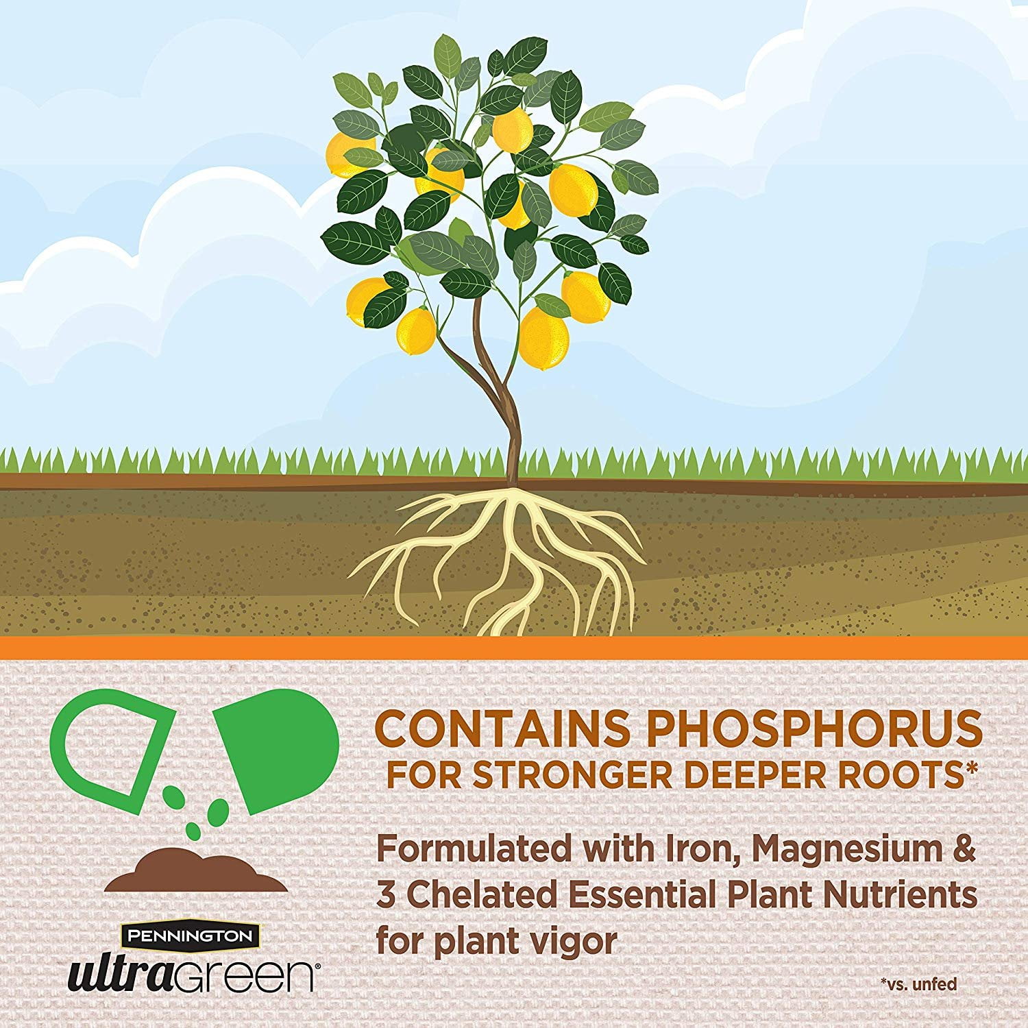 Pennington Ultragreen Citrus & Avocado Plant Food, 10-5-5 Fertilizer 5lb