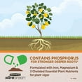 thumbnail image 5 of Pennington Ultragreen Citrus & Avocado Plant Food, 10-5-5 Fertilizer 5lb, 5 of 11