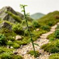 thumbnail image 5 of LAIOWEI Miniature Fairy Garden Trees, Bonsai Model Plant Ornaments, Dollhouse Decorative Trees, DIY Garden Craft Decorations for Mini Landscape 1Pcs, 5 of 5