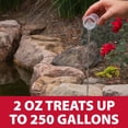 thumbnail image 5 of The Pond Guy LiquidClear Bacterial Pond Cleaner - 16 Ounce, 5 of 9