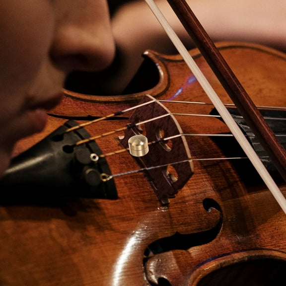 RENACLIPY Copper Violin Tone Mute Accessory Design 1 Piece for String Instrument