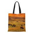 thumbnail image 1 of JSDART Sac Fourre-Tout en Toile Consumerproduct Bison sur Hill à Hayden Valley Herbe Extérieur Sac Réutilisable Épaule Courses, 1 of 1