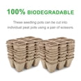 thumbnail image 3 of GROWNEER 36 Packs Peat Pots Seed Starter Trays, 216 Cells Biodegradable Seedling Pots Germination Trays, Organic Plant Starter Kit with 15 Pcs Plant Labels, 3 of 6