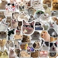 thumbnail image 2 of Cute and tough cat stickers - 50 pcs in the package! multi color, 2 of 5