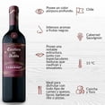 thumbnail image 2 of Pack de 12 Vino Tinto Casillero Del Diablo D. Carnaval Cabernet 750 ml, 2 of 3