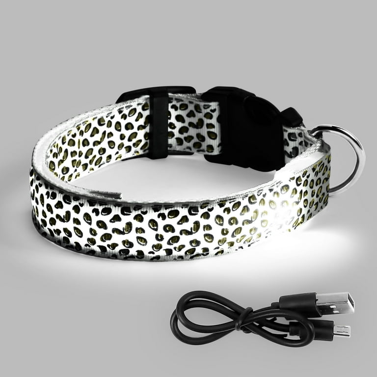 Collars for hotsell white dogs