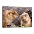 thumbnail image 1 of Cuadro decorativo Animales - Perritos de la pradera en canvas tamaño 30 x 20 cm Canvas Lab Canvas forma horizontal tamaño 30 x 20, 1 of 2