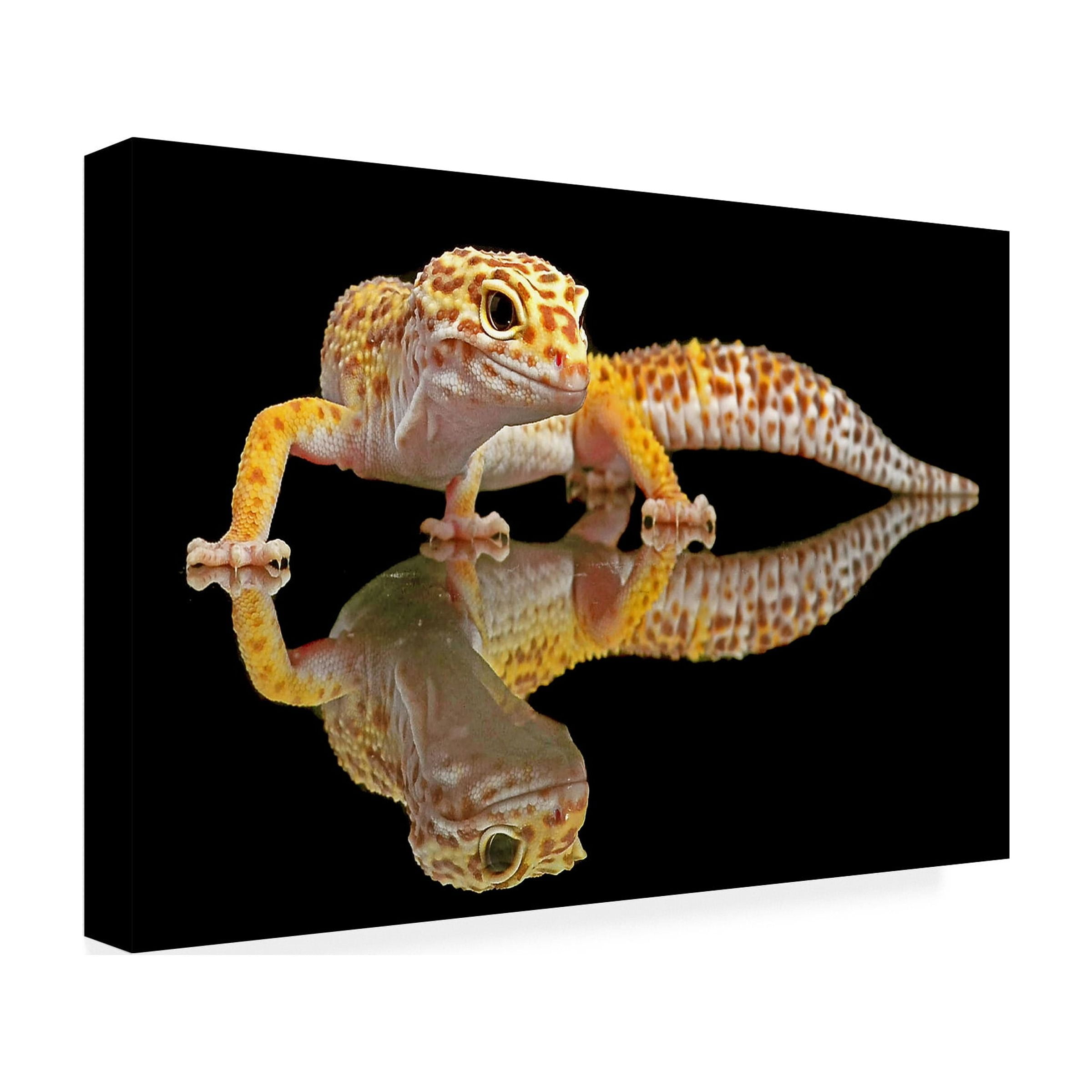 Dikky Oesin 'Leopard Gecko' Canvas Art