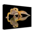thumbnail image 4 of Dikky Oesin 'Leopard Gecko' Canvas Art, 4 of 4
