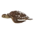 thumbnail image 3 of Safari Ltd Galapagos TOOB, 3 of 6