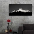 thumbnail image 5 of Epic Art 'Zion Tree Silhouette' by Thomas Haney, Acrylic Glass Wall Art, 48"x24", 5 of 8