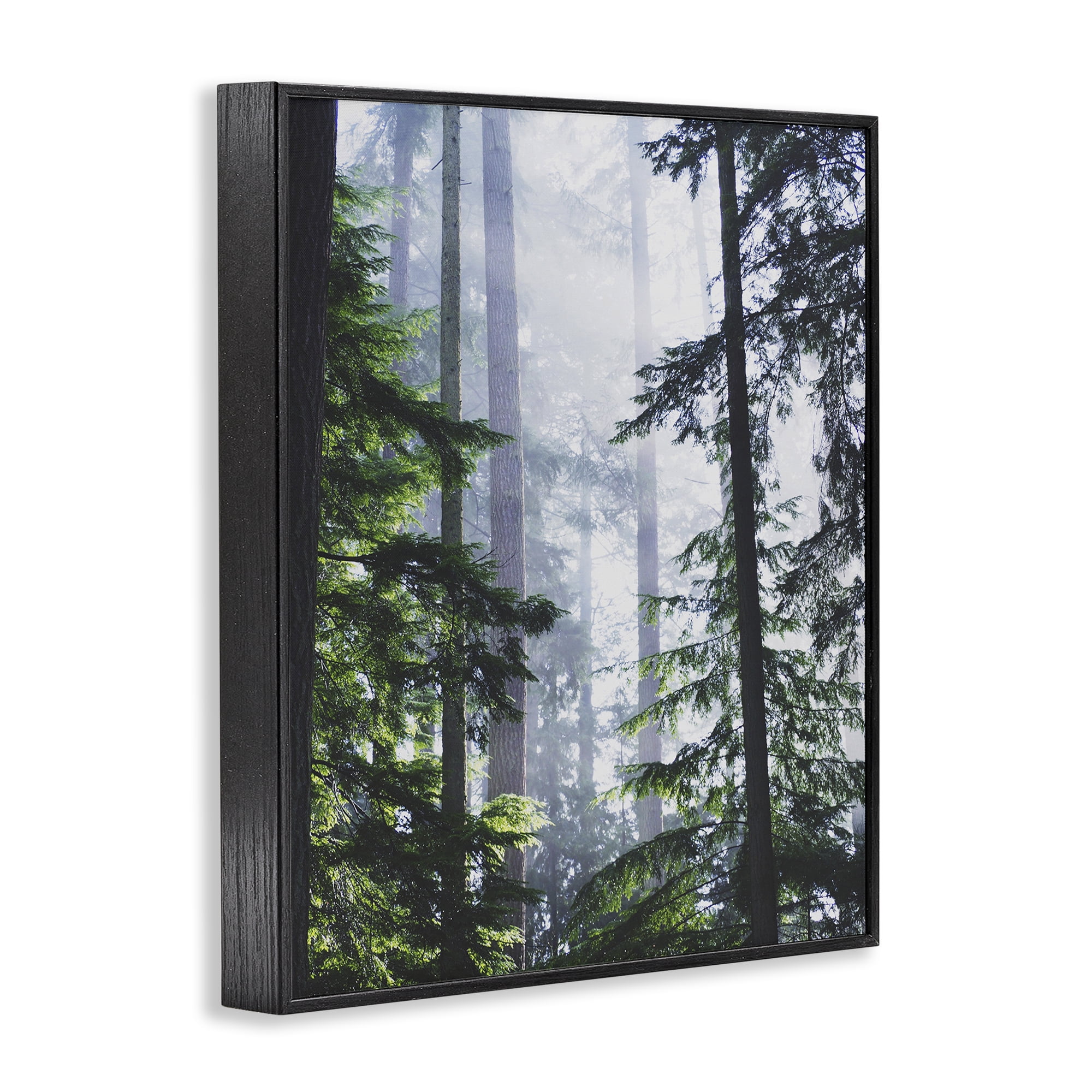 Stupell Industries Foggy Forest View Landscape Photography Black Framed Art Print Wall Art, 24 x 30