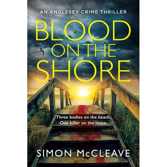 Pre-Owned Blood on the Shore (Paperback) 0008524882 9780008524883
