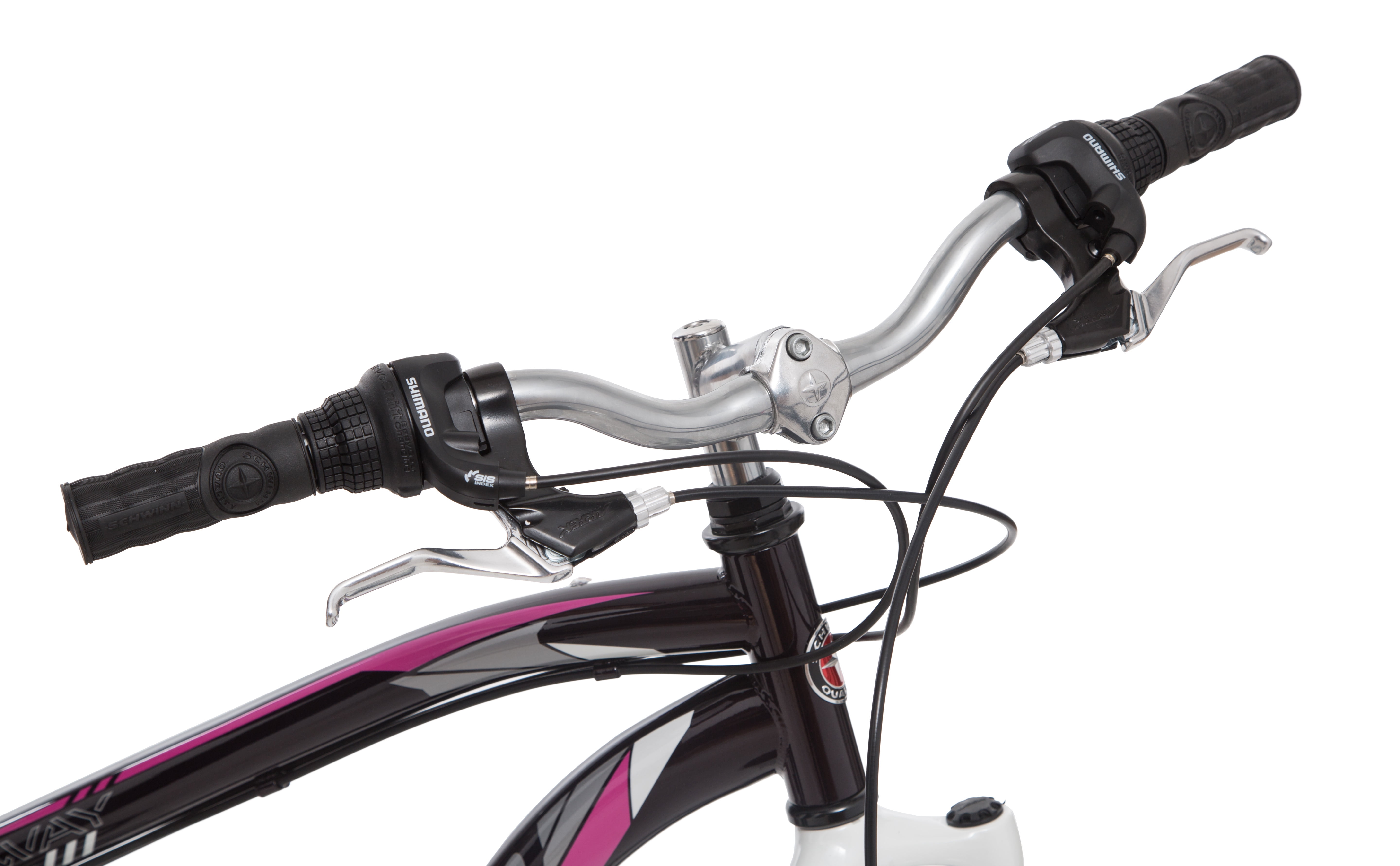 schwinn byway