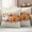 Beige, variant on Fall Pumpkin Outdoor Waterproof Pillow Covers, Thanksgiving Autumn Leaves Floral Decorative Square Throw Pillowcase Sofa Cushion Sham for Patio/Couch/Chair, 24"x24" 2 Pack