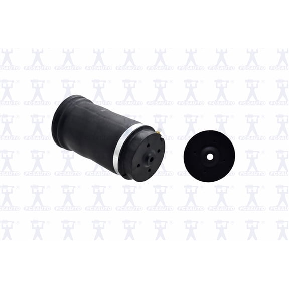 Focus Auto Parts Air Spring
