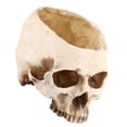 thumbnail image 4 of Maceta De Resina Con Cabeza De Calavera, Decoración De Contenedor Para Decoración De Bar Y Discoteca, 4 of 7