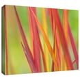 thumbnail image 2 of ArtWall Cora Niele "Red Winter" Gallery-Wrapped Canvas, 2 of 2