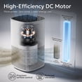 thumbnail image 4 of Miko Essence A-200 Air Purifier with True HEPA Filter, Aromatherapy, Quiet Sleep Mode, 600 Sq Ft Coverage, 4 of 8