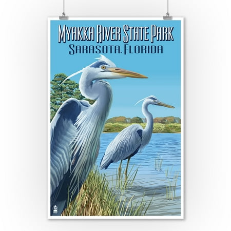 Victor Park Florida Myakka River State Park Sarasota, Florida - Blue Heron - Lantern Press Artwork (9x12 Art Print, Wall Decor Travel Poster) ()
