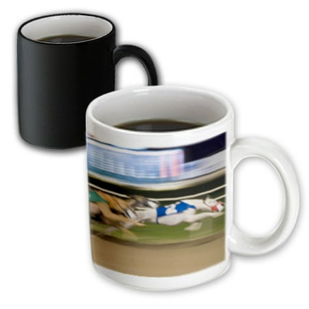 - 3dRose West Memphis, Arkansas. Greyhound races - US04 MDE0002 - Michael DeFreitas - Magic Transforming Mug, 11-ounce