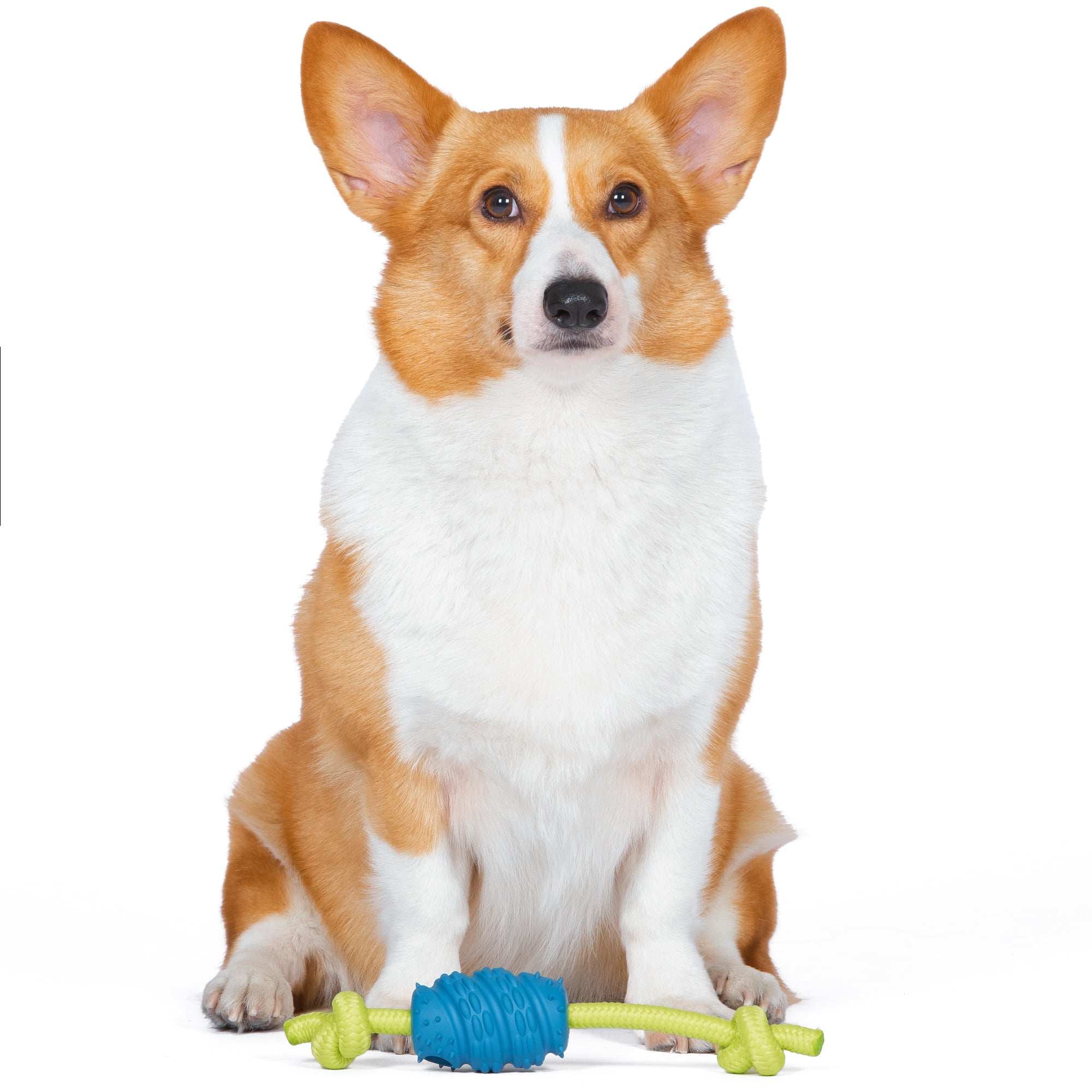 Arm & Hammer Scrubbies Senior Treat N' Tug Dental Dog Chew Toy - Small