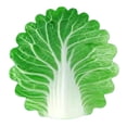 thumbnail image 2 of Baby Swaddle Blanket Machine Washable Receiving Blanket Breathable Cabbage Print Soledad Manta envolvente, 2 of 7
