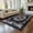 Flowers, variant on Washable Area Rug 8'x10', Non Slip Washable Rug for Living Room, Animal Butterfly Print Indoor Soft Carpet for Bedroom, Dining Room