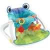 Fisher-Price Sit-Me-Up Floor Seat, Aqua Frog
